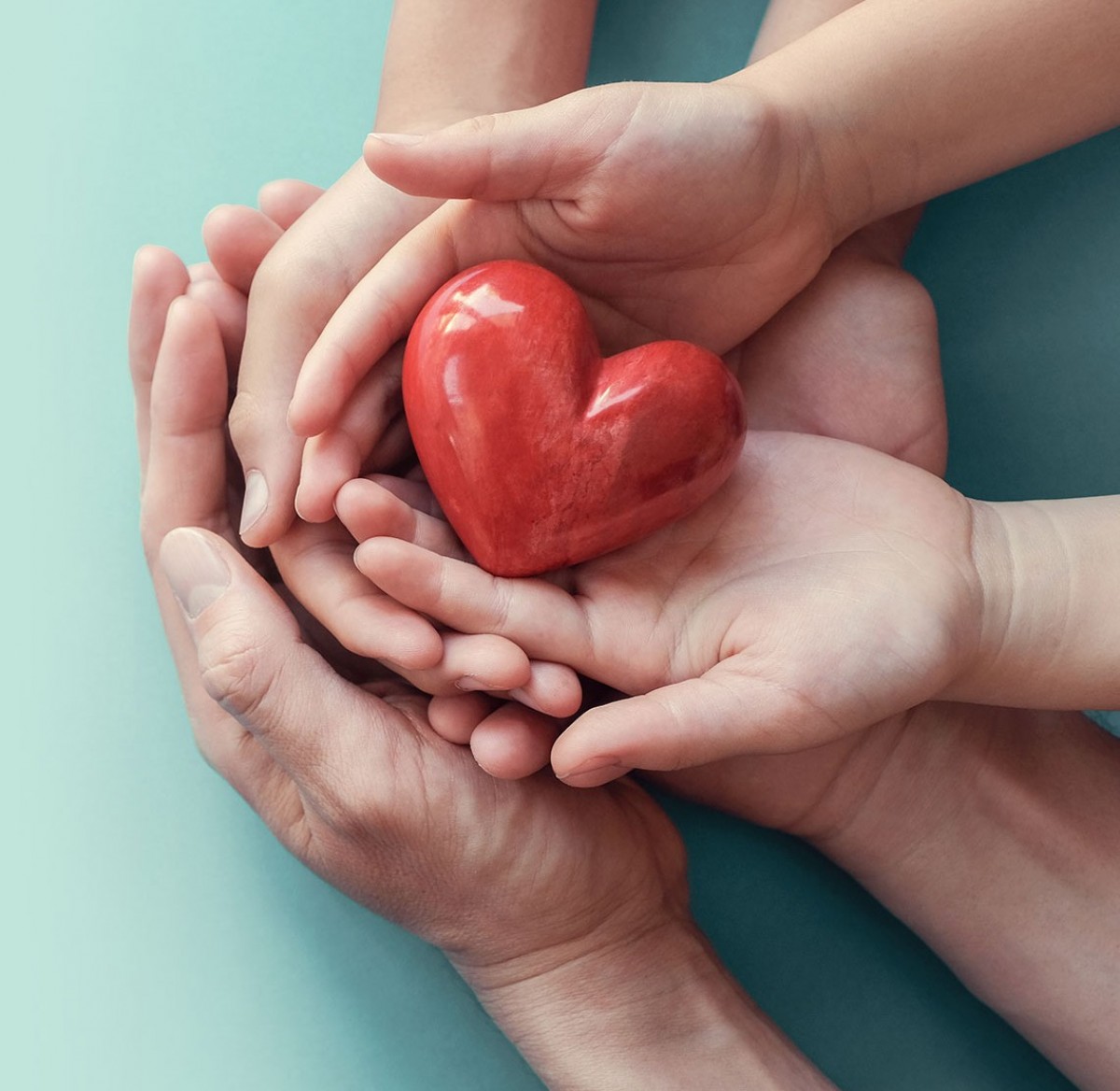 mains qui tiennent un coeur en bois